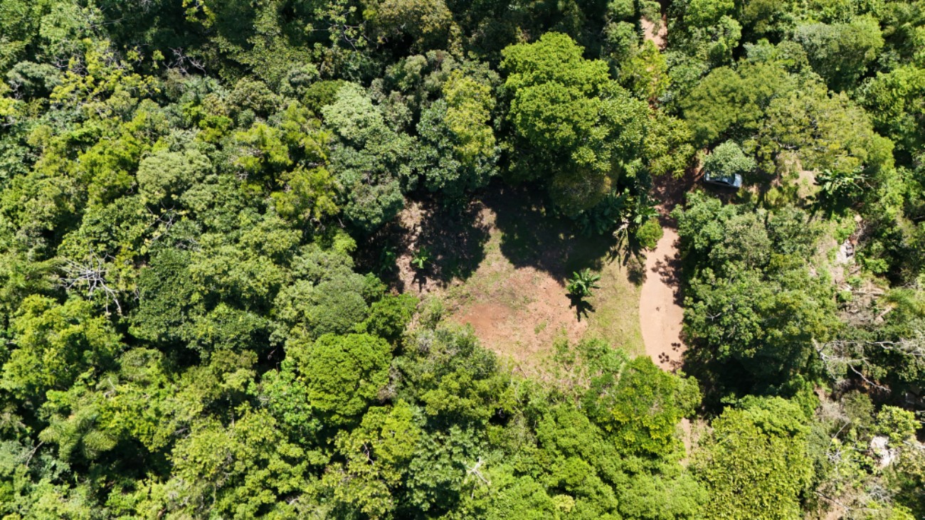 Terreno para venda, Centro em Maquiné | Ref.: 42