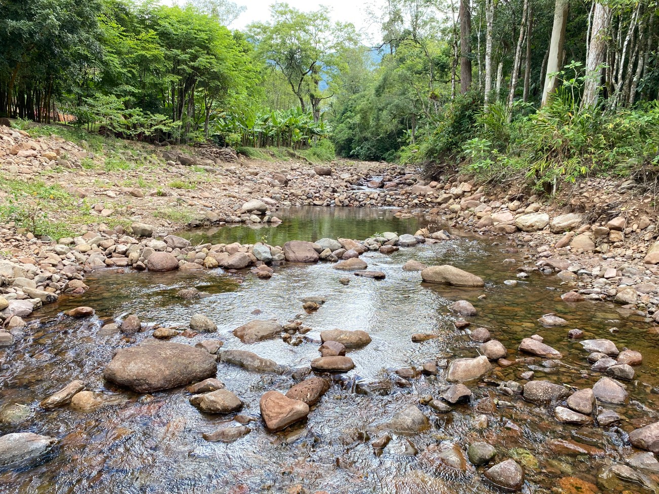 Casa 2 dormitórios para venda, Pinheiro  em Maquiné | Ref.: 62